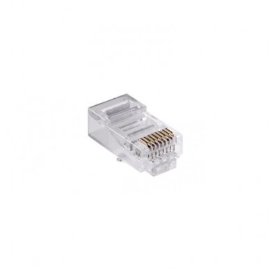 Kištukas RJ45 CAT6 (8P8C)